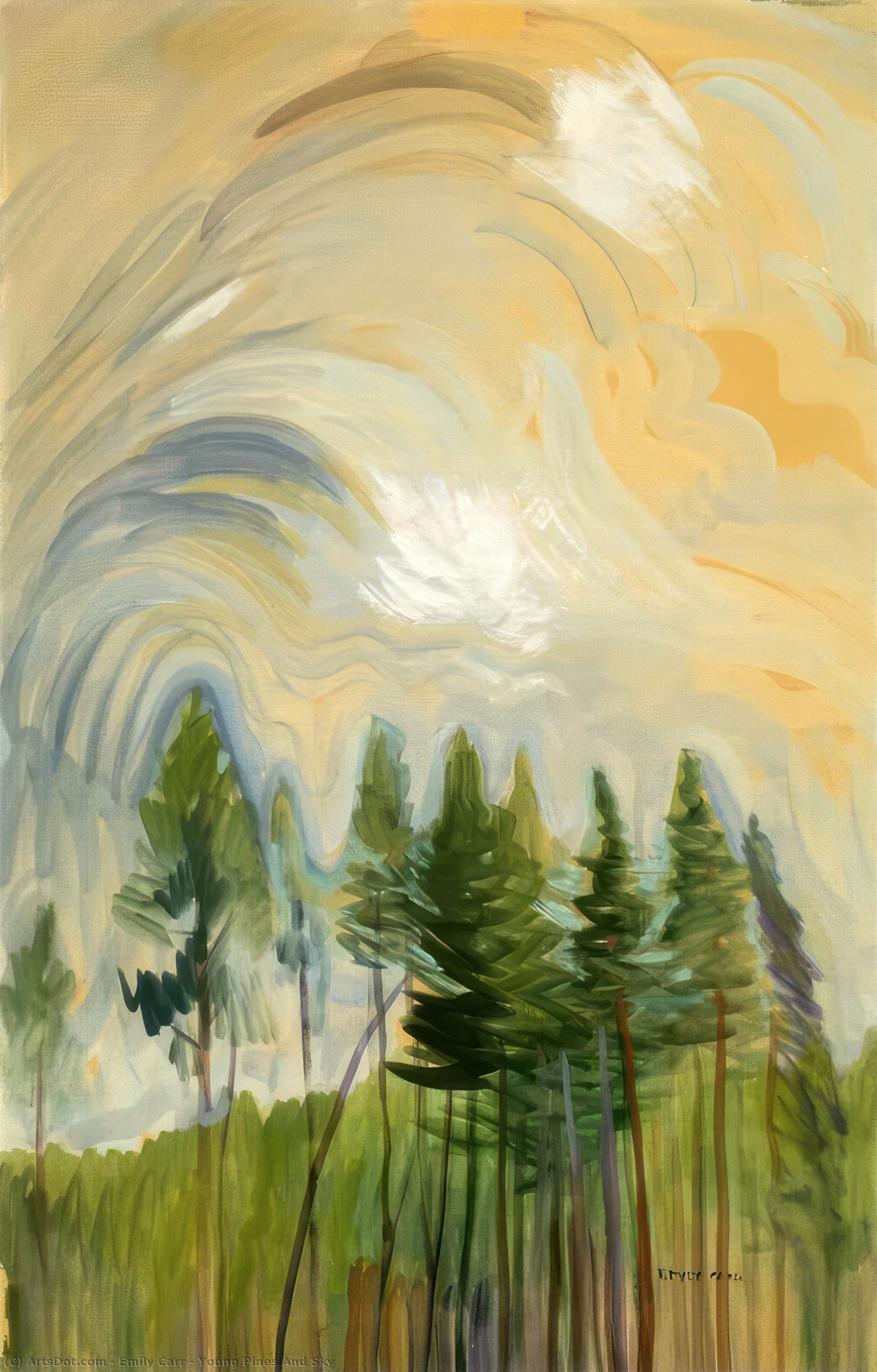 Wikioo.org - The Encyclopedia of Fine Arts - Painting, Artwork by Emily Carr - Young Pines And Sky