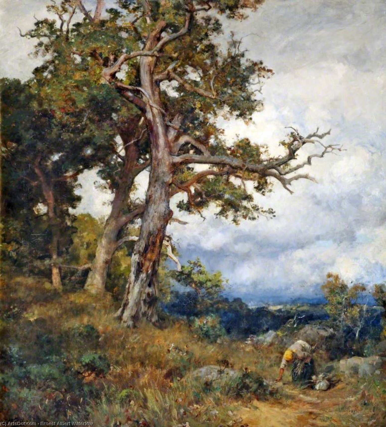 Wikioo.org - The Encyclopedia of Fine Arts - Painting, Artwork by Ernest Albert Waterlow - Forest Oaks, Fontainebleau
