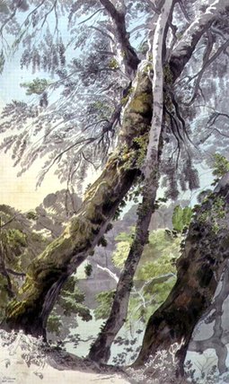 Wikioo.org - Die Enzyklopädie bildender Kunst - Malerei, Kunstwerk von Francis Towne - Überhängende Bäume Wasser,