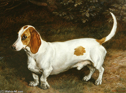 Wikioo.org - The Encyclopedia of Fine Arts - Painting, Artwork by Frank Paton - My Favourite Dachshund