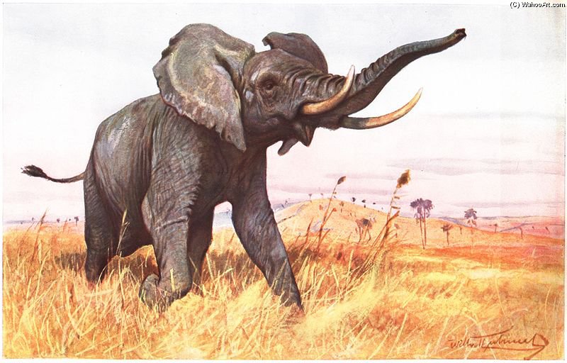 Wikioo.org - The Encyclopedia of Fine Arts - Painting, Artwork by Friedrich Wilhelm Kuhnert - African Elephant