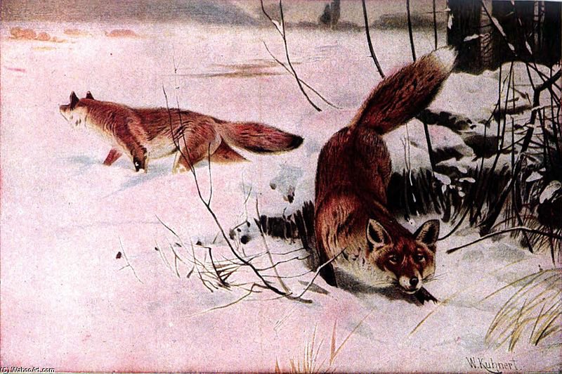Wikioo.org - The Encyclopedia of Fine Arts - Painting, Artwork by Friedrich Wilhelm Kuhnert - Drawing Of Two Red Foxes In A Snowy Field