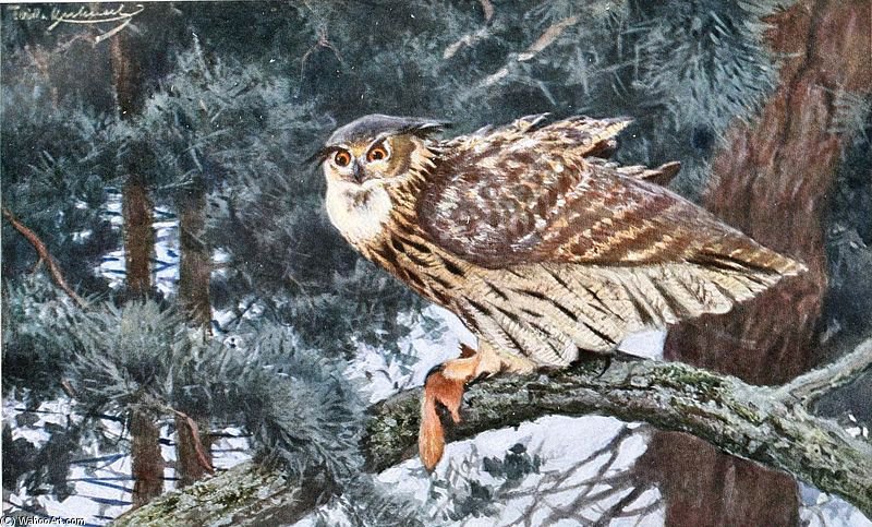 Wikioo.org - The Encyclopedia of Fine Arts - Painting, Artwork by Friedrich Wilhelm Kuhnert - Eagle-owl