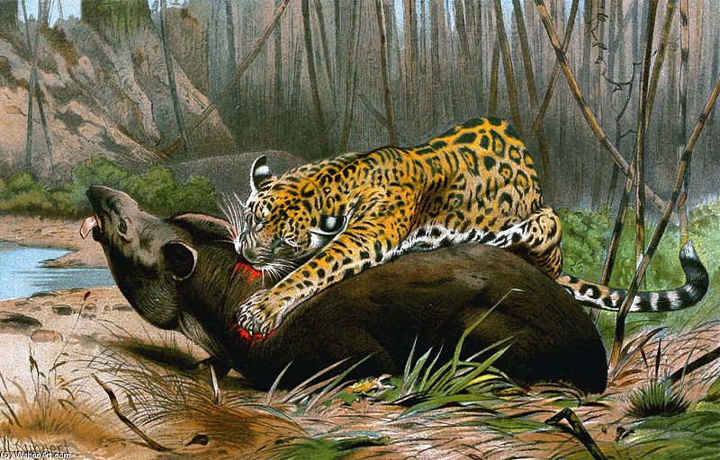 Wikioo.org – La Enciclopedia de las Bellas Artes - Pintura, Obras de arte de Friedrich Wilhelm Kuhnert - Jaguar Killing Tapir