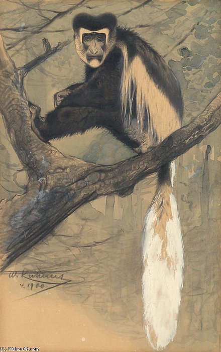 Wikioo.org - The Encyclopedia of Fine Arts - Painting, Artwork by Friedrich Wilhelm Kuhnert - Kilimandjaro-seidenaffe