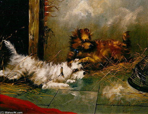 Wikioo.org - The Encyclopedia of Fine Arts - Painting, Artwork by George Armfield (Smith) - Terriers Playing