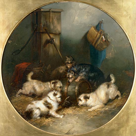WikiOO.org - Encyclopedia of Fine Arts - Maalaus, taideteos George Armfield (Smith) - Terriers Ratting In A Barn