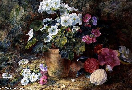 WikiOO.org - Encyclopedia of Fine Arts - Malba, Artwork George Clare - A Still Life Of Pelargoniums In A Pot With Camellias