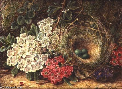 Wikioo.org - The Encyclopedia of Fine Arts - Painting, Artwork by George Clare - Still Life With Bird's Nest