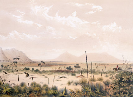 Wikioo.org - The Encyclopedia of Fine Arts - Painting, Artwork by George French Angas - Kangaroo Hunt