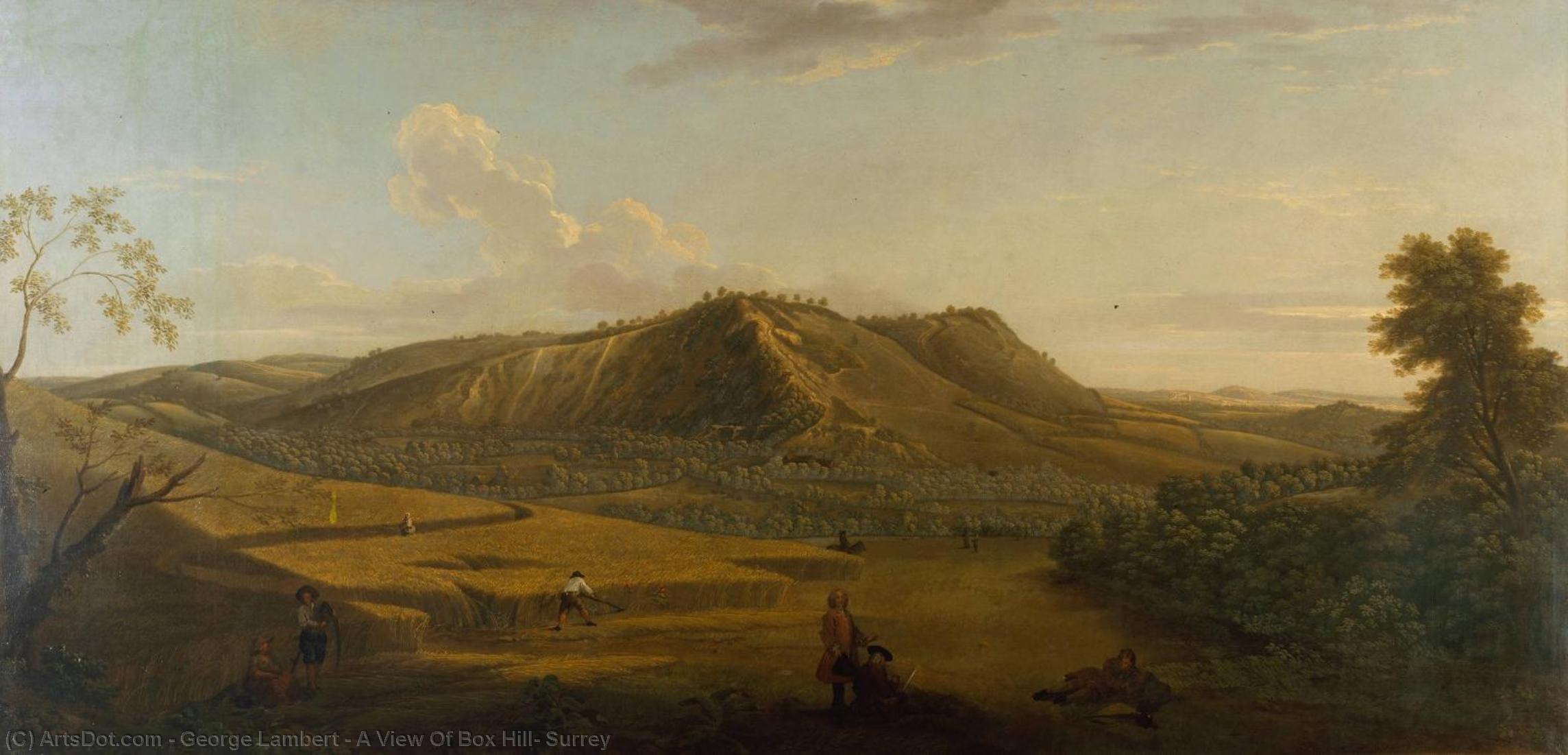Wikioo.org - The Encyclopedia of Fine Arts - Painting, Artwork by George Lambert - A View Of Box Hill, Surrey