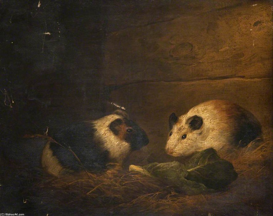 Wikioo.org - The Encyclopedia of Fine Arts - Painting, Artwork by George Morland - Study Of Guinea Pigs