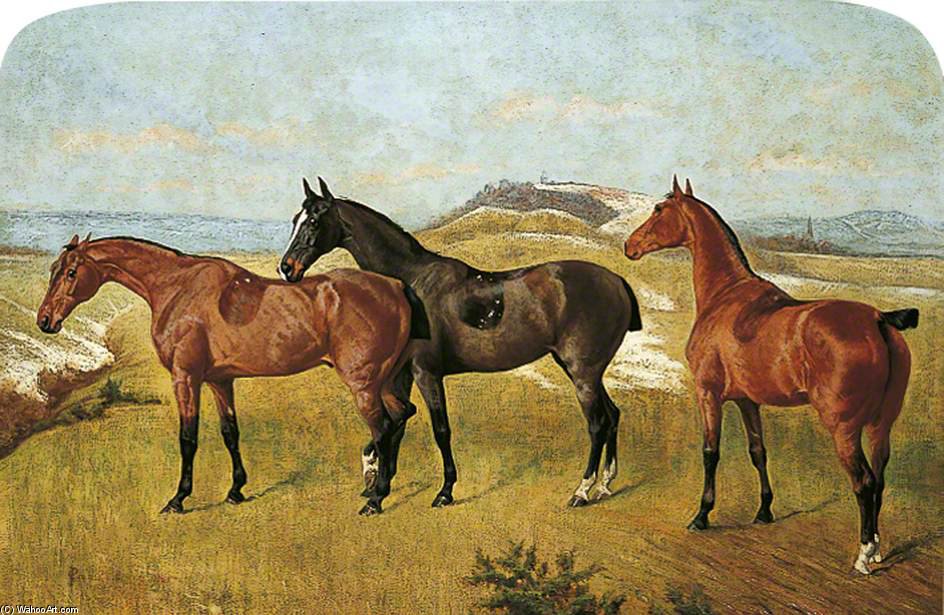 Wikioo.org - The Encyclopedia of Fine Arts - Painting, Artwork by George Paice - 'whissendine', 'swallow' And 'tiptop'
