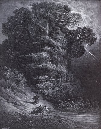 Wikioo.org - The Encyclopedia of Fine Arts - Painting, Artwork by Paul Gustave Doré - Illustration For The Oak And The Reed