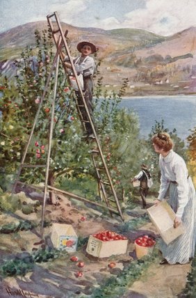 WikiOO.org - Enciclopédia das Belas Artes - Pintura, Arte por Harold Copping - A Fruit Ranch At Nelson