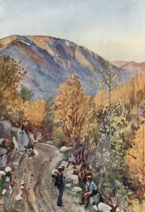 Wikioo.org - The Encyclopedia of Fine Arts - Painting, Artwork by Harold Copping - Mount Nelson