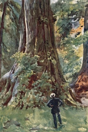 Wikioo.org - The Encyclopedia of Fine Arts - Painting, Artwork by Harold Copping - The Big Tree