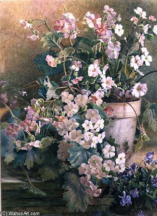 Wikioo.org - The Encyclopedia of Fine Arts - Painting, Artwork by Hector Caffieri - Study Of Primroses