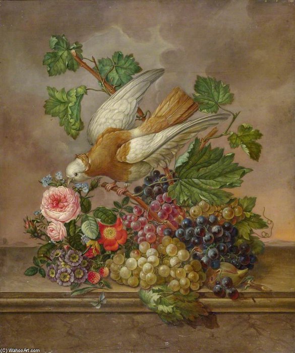 Wikioo.org - The Encyclopedia of Fine Arts - Painting, Artwork by Jan Van Os - Flowers, Grapes And Dove On A Stone Ledge