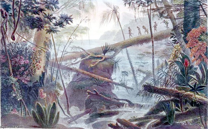 Wikioo.org - The Encyclopedia of Fine Arts - Painting, Artwork by Jean Baptiste Debret - Jungle In The Paraíba Do Sul River Margins