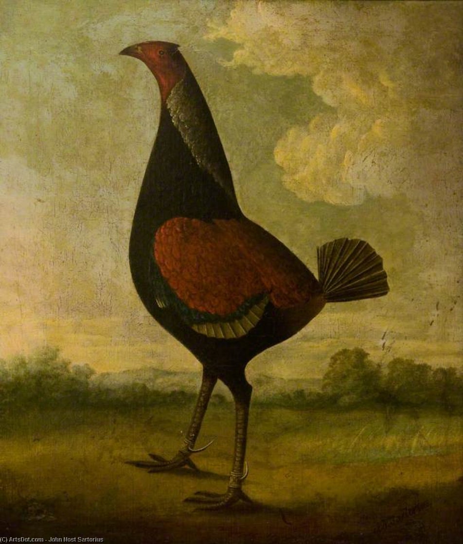 Wikioo.org - The Encyclopedia of Fine Arts - Painting, Artwork by John Nost Sartorius - A Fighting Cock In A Landscape