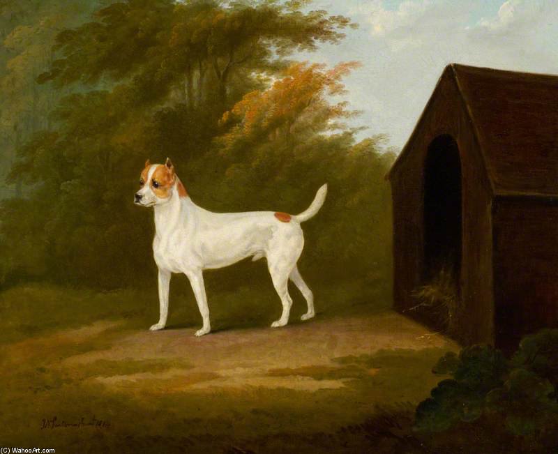 Wikioo.org - The Encyclopedia of Fine Arts - Painting, Artwork by John Nost Sartorius - An Old English Terrier