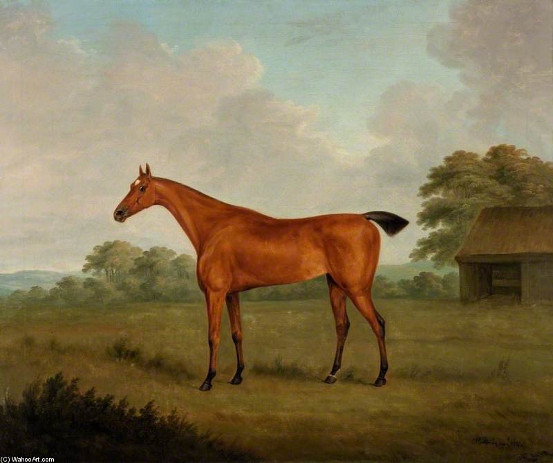 Wikioo.org - The Encyclopedia of Fine Arts - Painting, Artwork by John Nost Sartorius - Chestnut Horse In A Landscape