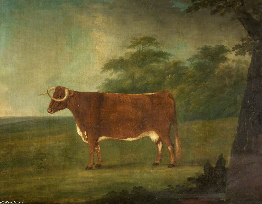 Wikioo.org - The Encyclopedia of Fine Arts - Painting, Artwork by John Nost Sartorius - Longhorn-staffordshire Cross Heifer