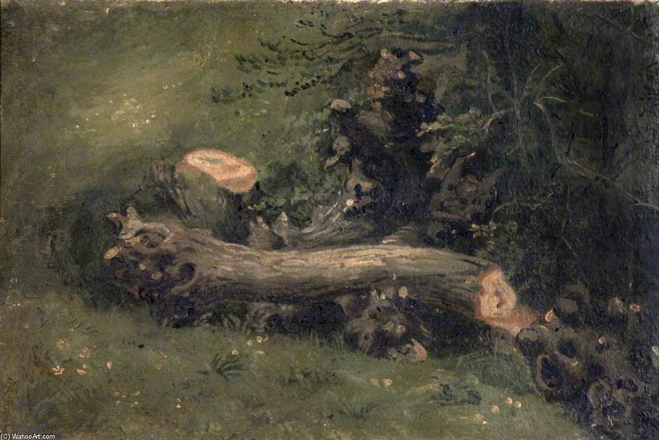 WikiOO.org - Encyclopedia of Fine Arts - Schilderen, Artwork Joshua Cristall - Felled Tree
