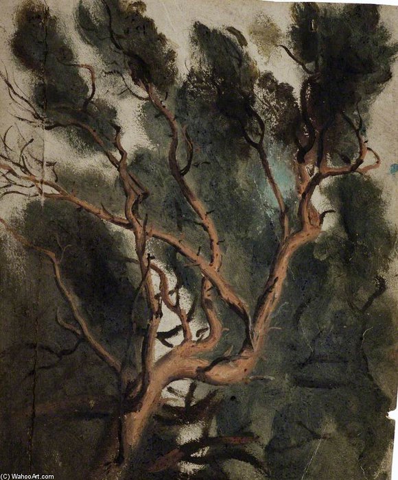 Wikioo.org - The Encyclopedia of Fine Arts - Painting, Artwork by Joshua Cristall - Tree Study