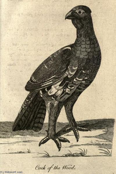 WikiOO.org – 美術百科全書 - 繪畫，作品 Moses Griffith - 公鸡  的 木头  从  旅游 的 苏格兰