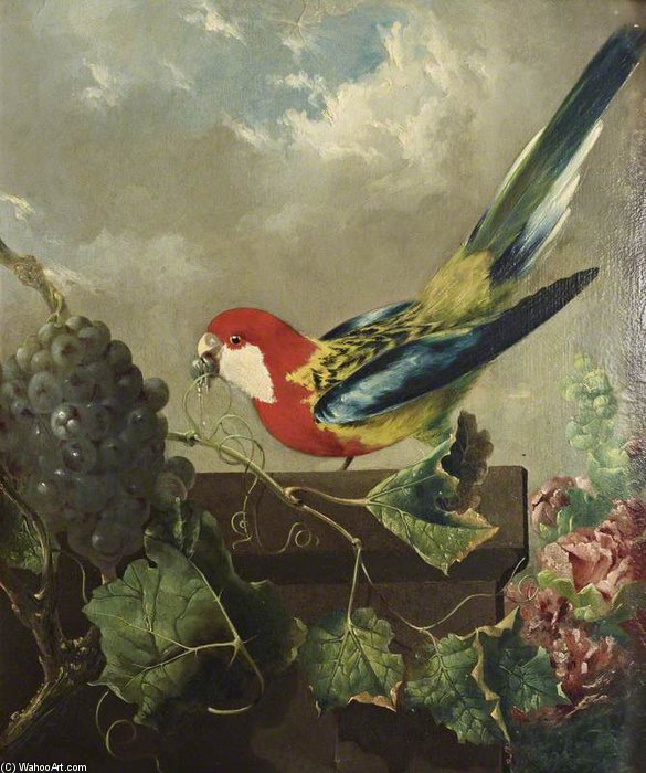 Wikioo.org - The Encyclopedia of Fine Arts - Painting, Artwork by George Philip Reinagle - Parakeet With Grapes And Hollyhocks