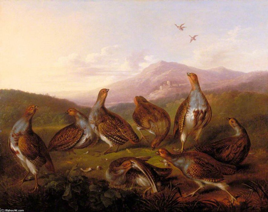 WikiOO.org - دایره المعارف هنرهای زیبا - نقاشی، آثار هنری George Philip Reinagle - Partridges In A Moorland Landscape