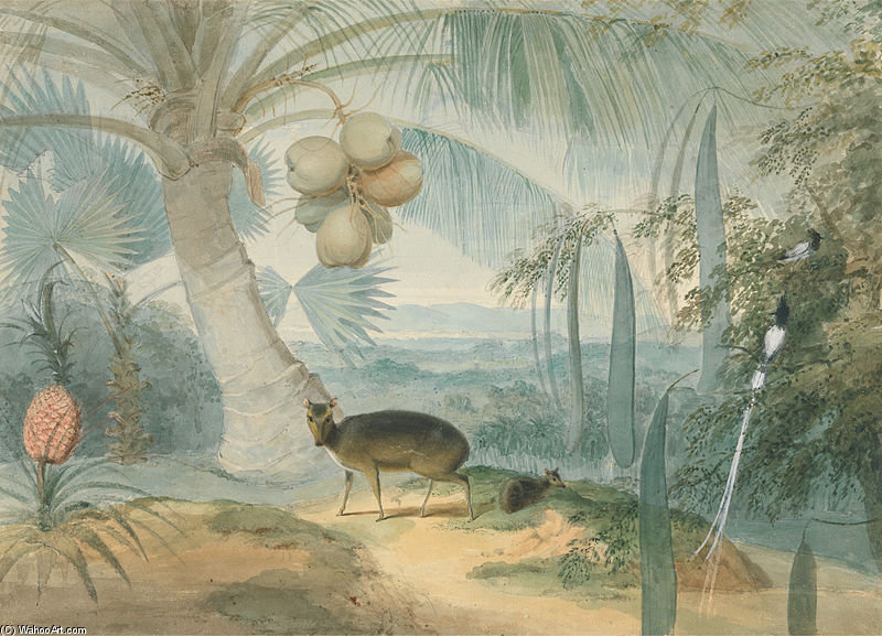 WikiOO.org - Енциклопедия за изящни изкуства - Живопис, Произведения на изкуството Samuel Daniell - A Landscape In Ceylon