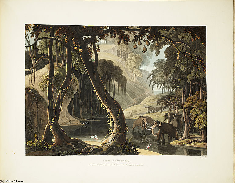Wikioo.org - The Encyclopedia of Fine Arts - Painting, Artwork by Samuel Daniell - A Scene In Sitsikamma