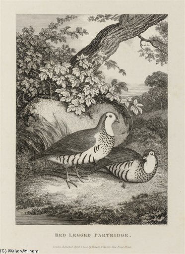 WikiOO.org - Encyclopedia of Fine Arts - Maleri, Artwork Samuel Howitt - A New Work Of Animals