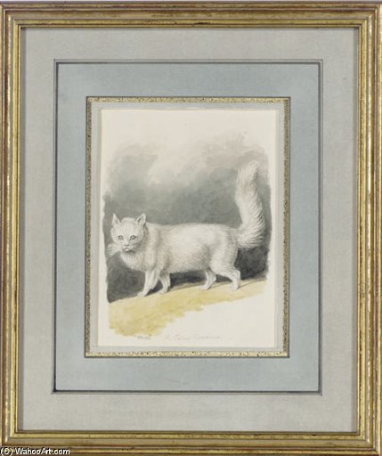Wikoo.org - موسوعة الفنون الجميلة - اللوحة، العمل الفني Samuel Howitt - A Persian Cat