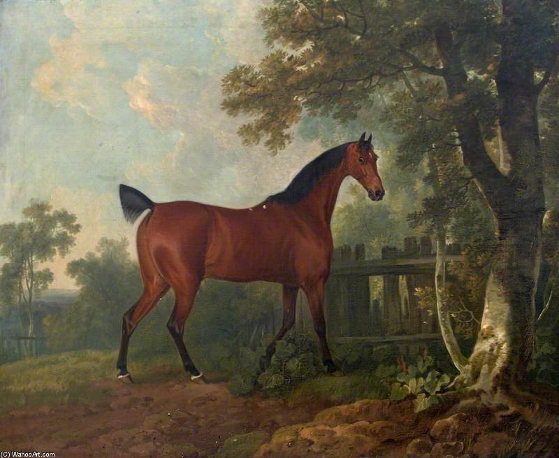 Wikioo.org - The Encyclopedia of Fine Arts - Painting, Artwork by Sawrey Gilpin - 'amaranth', The Property Of A. B. St Leger, Esq.
