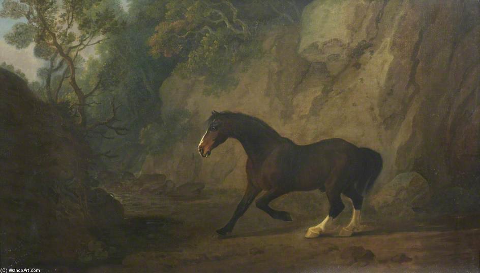 WikiOO.org - Encyclopedia of Fine Arts - Maalaus, taideteos Sawrey Gilpin - Horse Frightened By A Snake