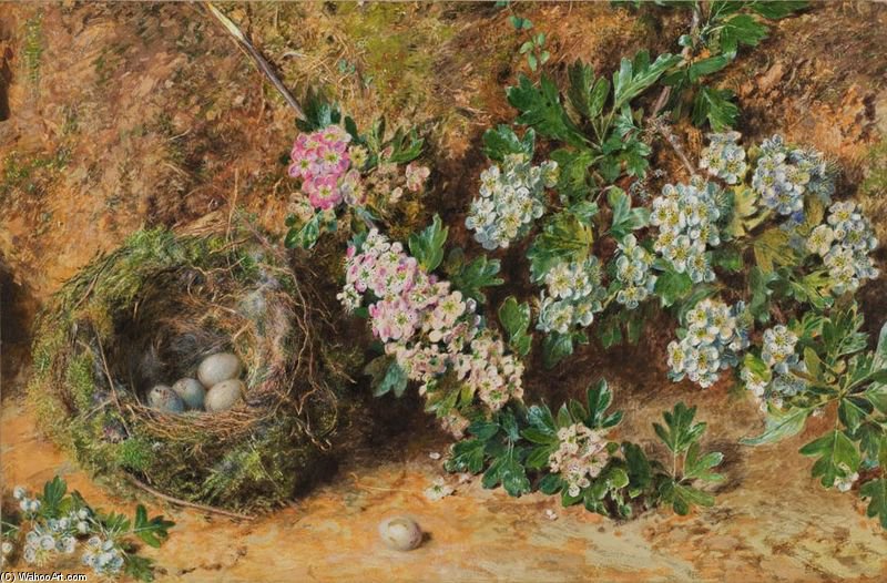 Wikioo.org - สารานุกรมวิจิตรศิลป์ - จิตรกรรม William Henry Hunt - Chaffinch Nest And May Blossom