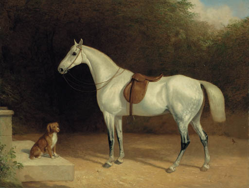 Wikioo.org - The Encyclopedia of Fine Arts - Painting, Artwork by Abraham Cooper - A Saddled Grey Hunter, With A Dog On A Stone Step, And A Robin