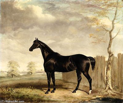 WikiOO.org – 美術百科全書 - 繪畫，作品 Abraham Cooper - 吉普赛 一个  黑色  马  在  一个  风景