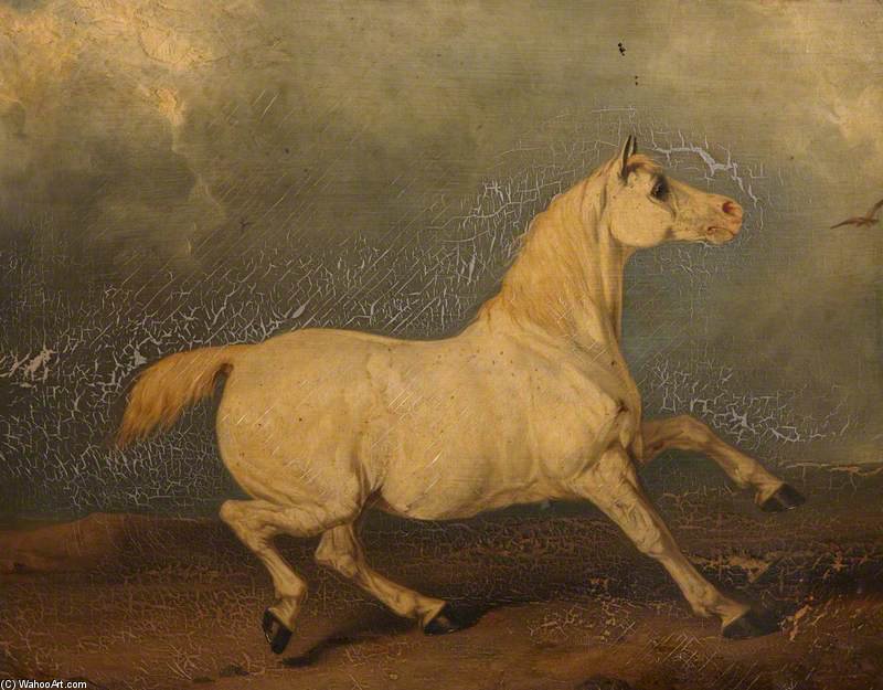 Wikioo.org - The Encyclopedia of Fine Arts - Painting, Artwork by Charles Hancock - 'lily', A Grey Horse In A Landscape