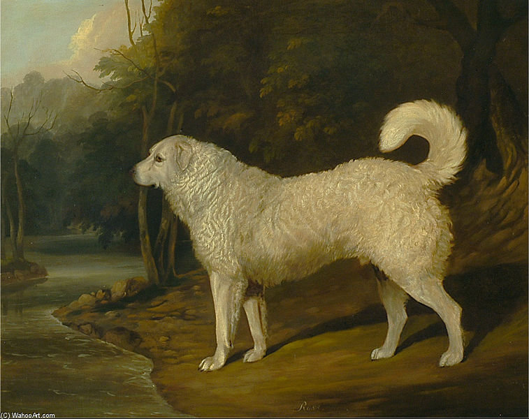 Wikioo.org – L'Enciclopedia delle Belle Arti - Pittura, Opere di David Of York Dalby - ritratto di un cane , null