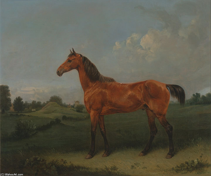Wikioo.org - The Encyclopedia of Fine Arts - Painting, Artwork by Edmund Bristow - A Bay Horse In A Field