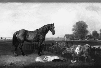 Wikioo.org - สารานุกรมวิจิตรศิลป์ - จิตรกรรม Edmund Bristow - A Donkey And Sheep In A Landscape
