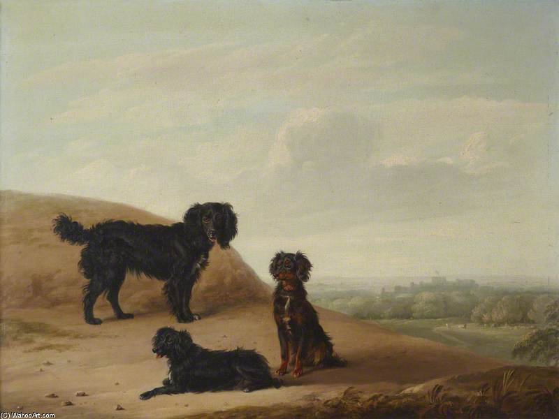 Wikioo.org - The Encyclopedia of Fine Arts - Painting, Artwork by Edmund Bristow - Three Sporting Dogs In A Landscape, With A Distant View Of Windsor Castle