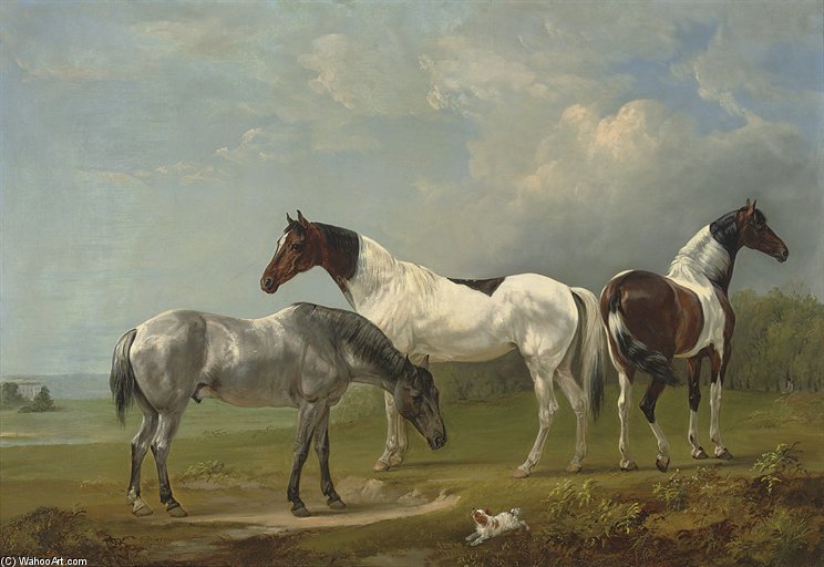 Wikioo.org - The Encyclopedia of Fine Arts - Painting, Artwork by Edmund Bristow - Two Skewbalds, A Grey And Spaniel In An Extensive Landscape, A Country House Beyond