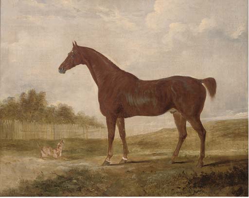 Wikioo.org - The Encyclopedia of Fine Arts - Painting, Artwork by Edwin Cooper - A Chestnut Hunter And A Terrier In An Extensive Landscape