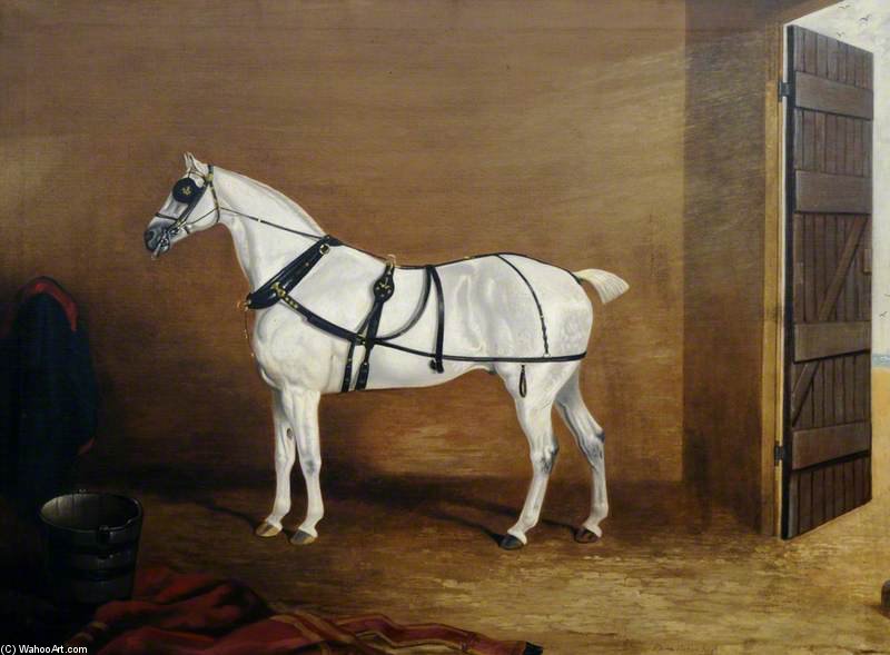 Wikioo.org - The Encyclopedia of Fine Arts - Painting, Artwork by Edwin Cooper - A Grey Carriage Horse In A Stable